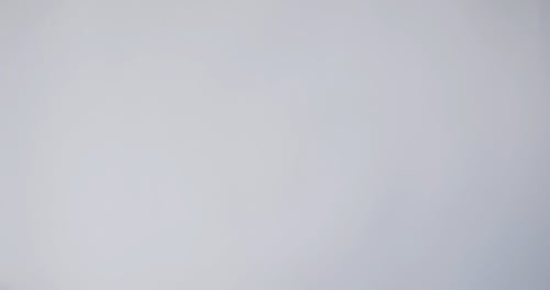 有关Flatlay, 事件, 布局的免费素材视频