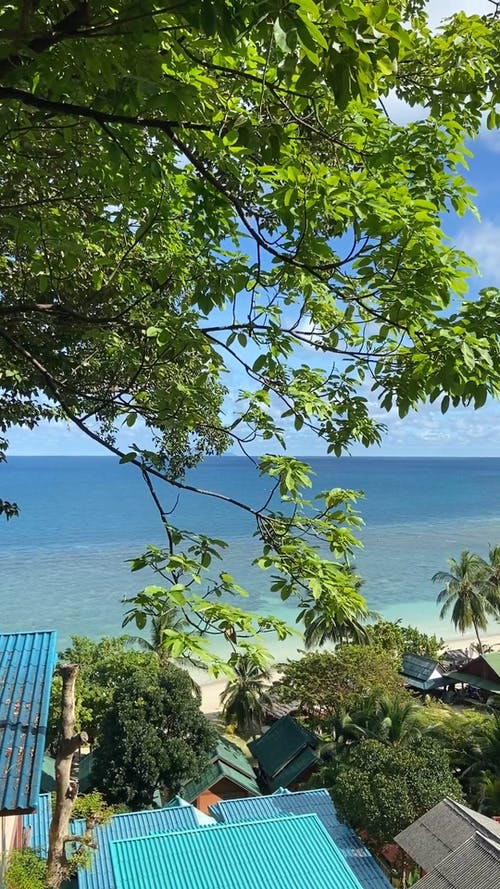 有关亚洲, 假期, 垂直视频的免费素材视频