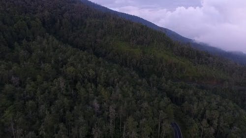 有关天性, 山, 山坡的免费素材视频