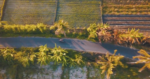 有关农地, 摩托车, 树木的免费素材视频