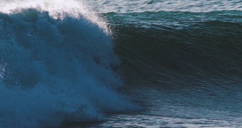 有关4k, 大浪, 天性的免费素材视频