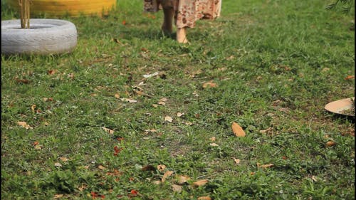 有关多风, 爱, 慢动作的免费素材视频