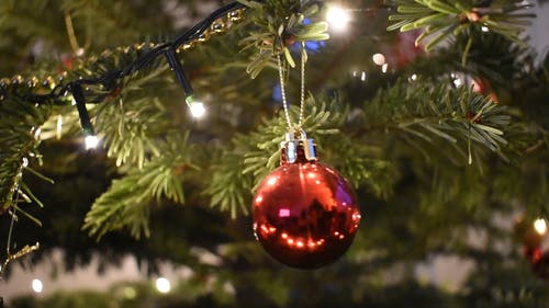 有关圣诞气氛, 圣诞, 圣诞灯饰的免费素材视频