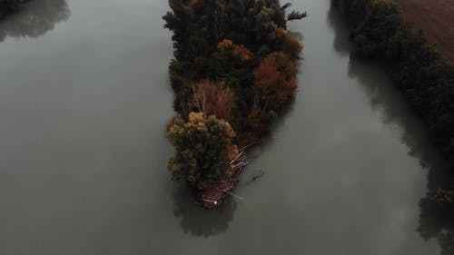 有关天性, 季节, 宁静的免费素材视频