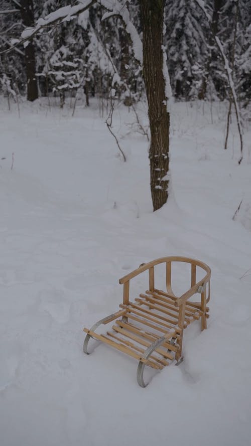 有关下雪的, 冬季, 冷的免费素材视频