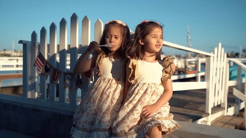 女孩和她的妹妹吹泡泡 · 免费素材视频