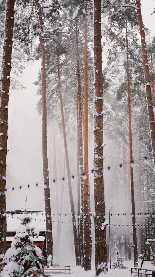 有关下雪, 下雪的, 冬季的免费素材视频