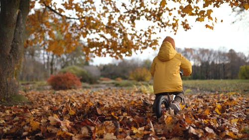有关atmosfera de outono, 儿童, 公园的免费素材视频