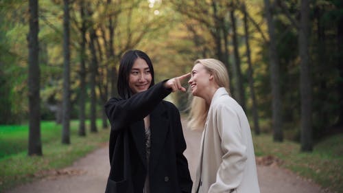 有关下落, 公园, 多样化的免费素材视频