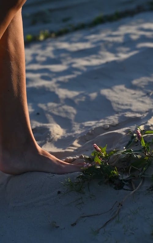 有关尺, 垂直视频, 户外的免费素材视频