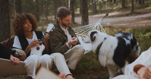 有关glamping, 一对, 一群朋友的免费素材视频