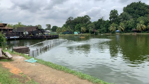 有关喷泉, 树木, 水反射的免费素材视频