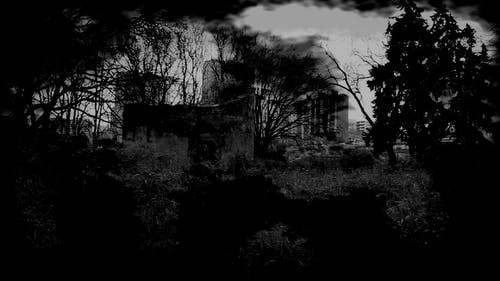 有关女人, 已编辑, 影响的免费素材视频