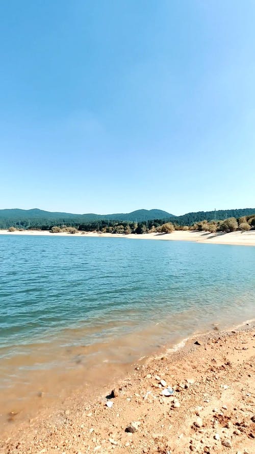 有关垂直视频, 天性, 天空的免费素材视频