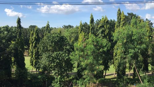 有关多风, 天性, 天空的免费素材视频