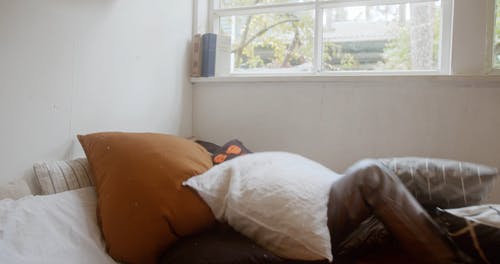 有关儿童, 小孩, 年轻的免费素材视频