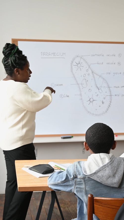 有关商量, 夹克, 女人的免费素材视频