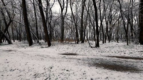 有关@户外, 冬季, 和平的的免费素材视频