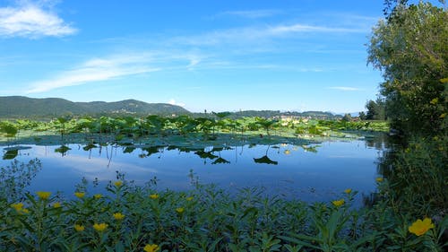 有关4k, 冷静, 反射的免费素材视频