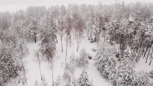 有关ICEE, 下雪, 下雪的的免费素材视频