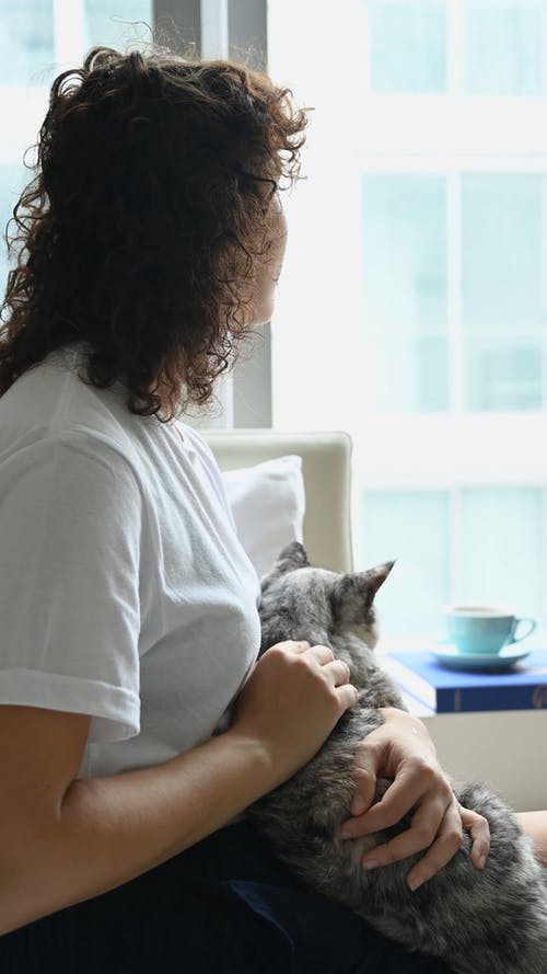 女人拥抱她的猫 · 免费素材视频