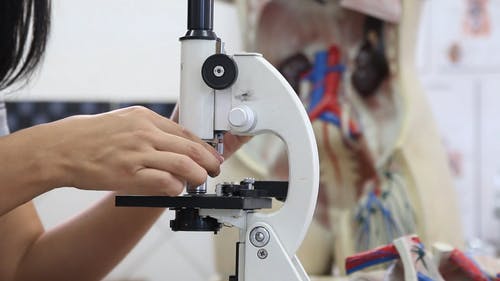 有关室内, 实验室, 年轻女子的免费素材视频