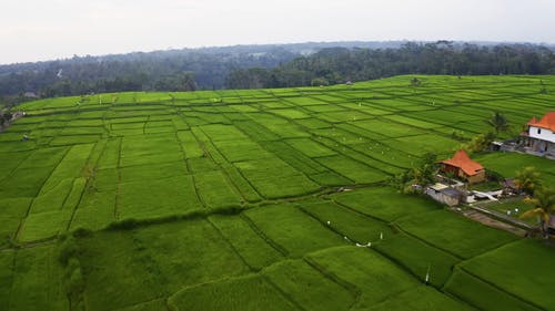 有关DJI, 下田, 亚洲的免费素材视频