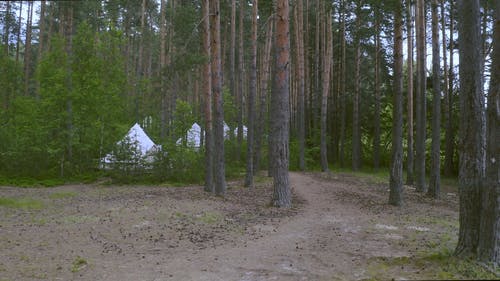 有关glamping, 夏天, 天性的免费素材视频