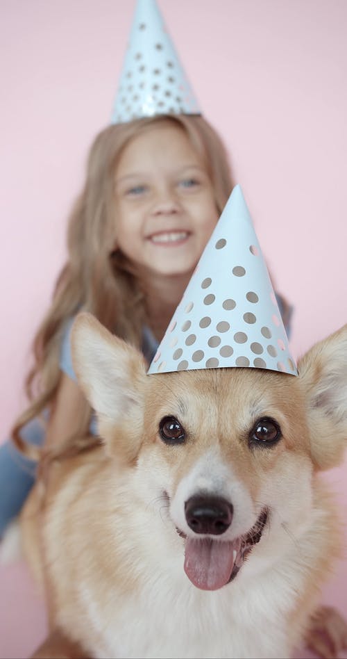 有关儿童, 动物, 可爱的免费素材视频