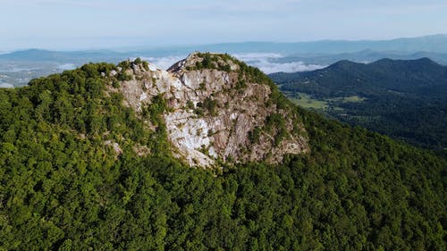 有关丛林, 天性, 山的免费素材视频