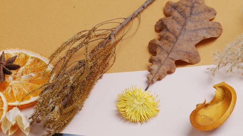 有关Flatlay, 乾燥, 乾燥花的免费素材视频