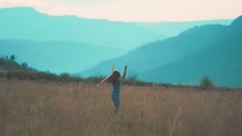 有关休闲, 优美的风景, 南非的免费素材视频