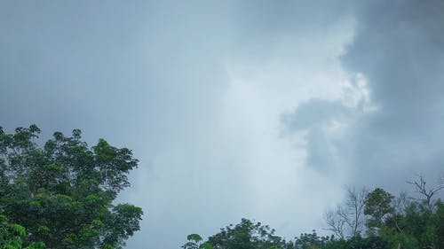 有关低角度拍摄, 多云的天空, 户外的免费素材视频