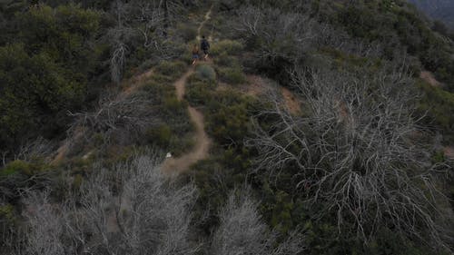 有关4k, 一对, 人的免费素材视频