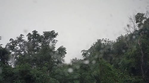 有关下雨天, 人们在说话, 倾盆大雨的免费素材视频