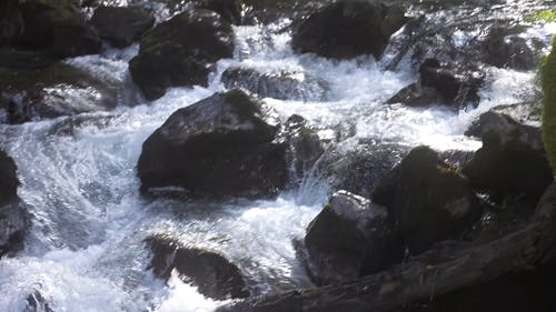 有关天性, 岩石, 水的免费素材视频