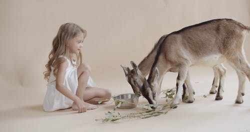 有关人, 儿童, 吃的免费素材视频