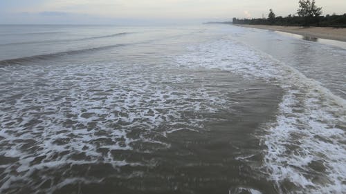 有关天性, 岸边, 户外的免费素材视频