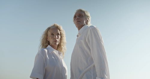 有关一起, 低角度拍摄, 假期的免费素材视频