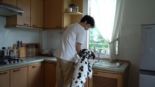 有关下沉, 人, 伴侣的免费素材视频