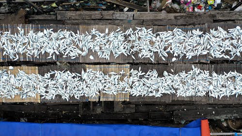 有关俯视图, 垃圾, 市场的免费素材视频