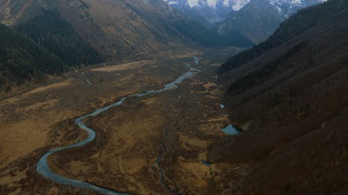 有关健行, 大自然, 天性的免费素材视频