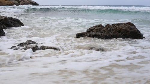 有关垂直视频, 天性, 天空的免费素材视频