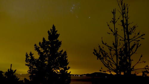 有关光, 城市的灯光, 天性的免费素材视频