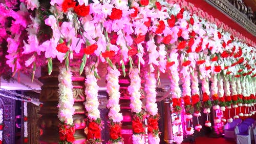 有关室内, 挂, 特写镜头的免费素材视频