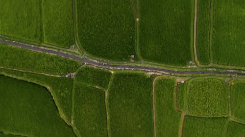 有关DJI, 下田, 亚洲的免费素材视频