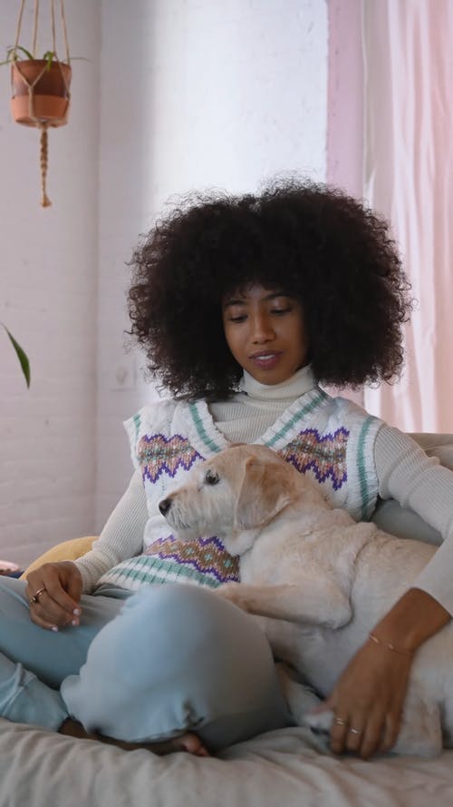 有关一起, 休闲, 伴侣的免费素材视频