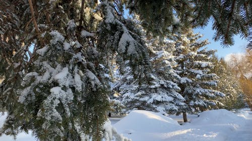 有关@户外, 下雪的, 冷冰的的免费素材视频