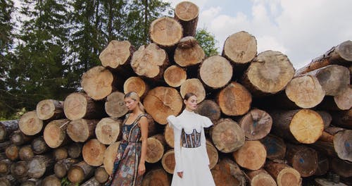 有关原本, 堆积木材, 多样化的免费素材视频