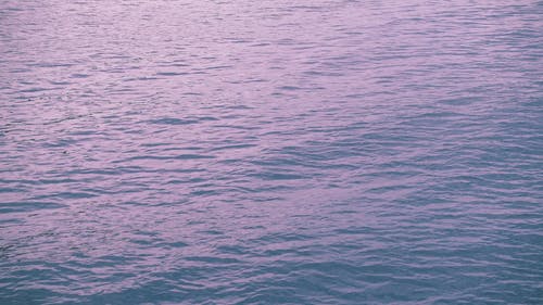 有关冷静, 和平的, 天性的免费素材视频